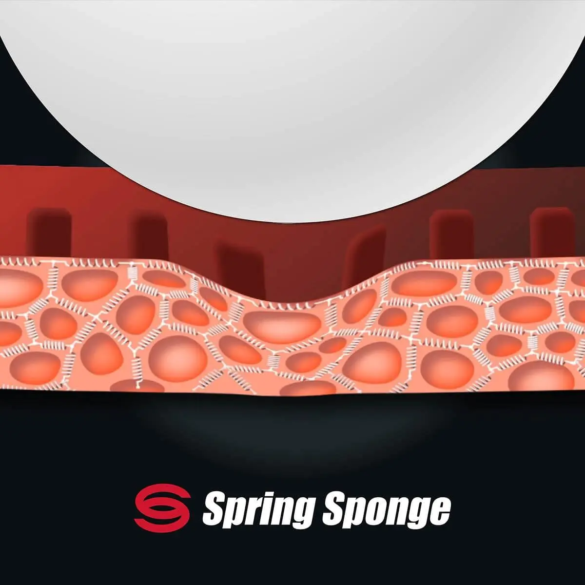 Công Nghệ Spring Sponge