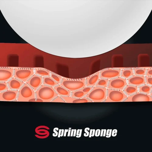 Công Nghệ Spring Sponge
