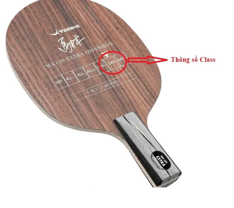 Thông số cốt vợt bóng bàn